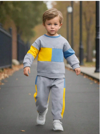2pcs/Set Young Boy Casual Contrast Color Block Crew Neck Sweatshirt And Relaxed Pants