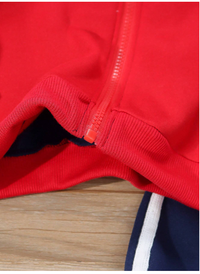  2pcs Young Boy Casual Sporty Street Chic Cute Stylish Leopard Tricolor Print Zip-Up Hoodie + Long Pant