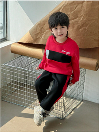 2pcs Young Boys Casual Color Block Splice Hooded Sweatshirt Top + Sweatpants Outfit Set Carousel 4