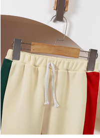 2pcs/Set Young Boy Casual Preppy Tri-Color Splice Top & Pants Set Carousel 3