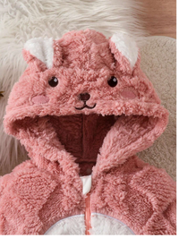 Newborn Baby Girl Cute Embroidery Hooded Casual Romper