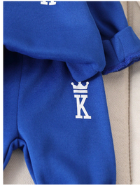 4pcs Baby Boys Letter Print Hoodie Sweatshirt And Sweatpants Set