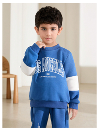 Young 2pcs/Set Boy Color Block Letter Print Crew Neck Long Sleeve Top And Pants Set Carousel 4