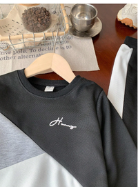 2pcs Young Boys Casual Sports College Street Chic Cute Cool Letter Print Colorblock Sweatshirt + Pants Set Carousel 5