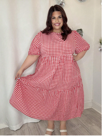 Plus Size Plaid Print Casual  Dress Carousel 5