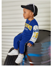  Toddler Boys Casual Sporty Color Block Printed Loose Fit Crew Neck Sweatshirt And Elastic Waist Thick Pants Set