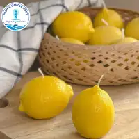 Orange / Lemon Candle Carousel 1